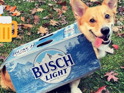 Free Beer and Dogs: Busch Beer Giving Away 3 Months Worth of Free Beer with Dog Adoption
